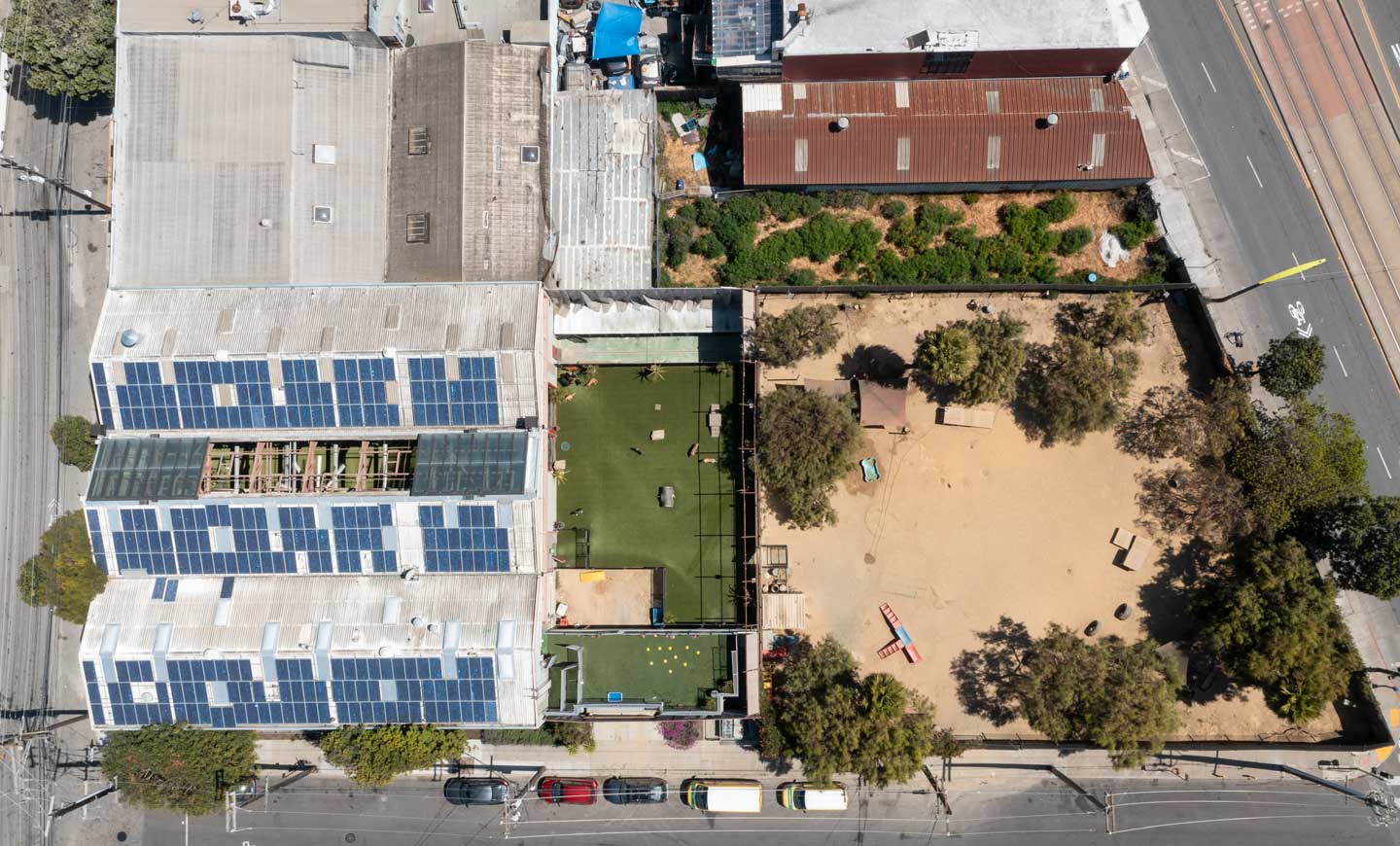 Pet Camp San Francisco