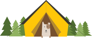 dog-camp