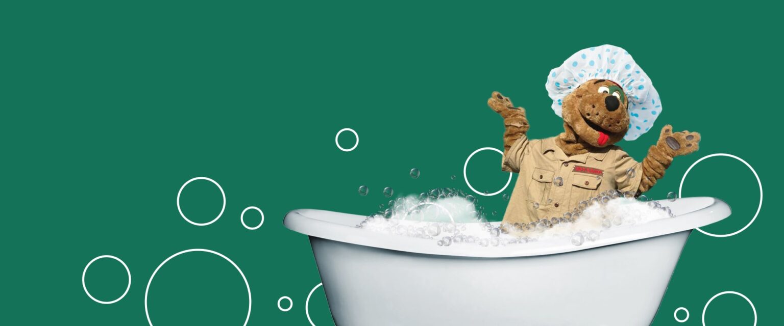 campy in a bubble bath