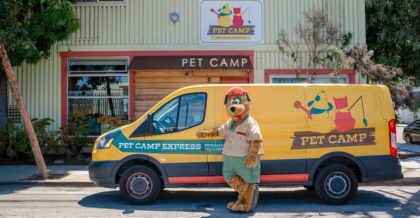 pet camp safari sf