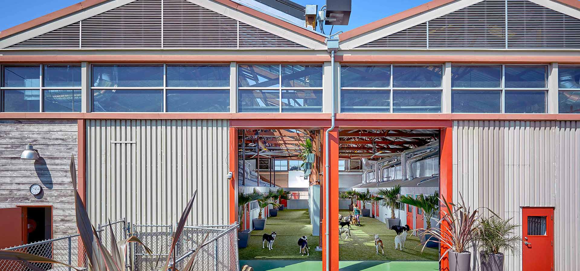 Pet Camp Overnight Dog & Cat Boarding Doggie Daycare San Francisco