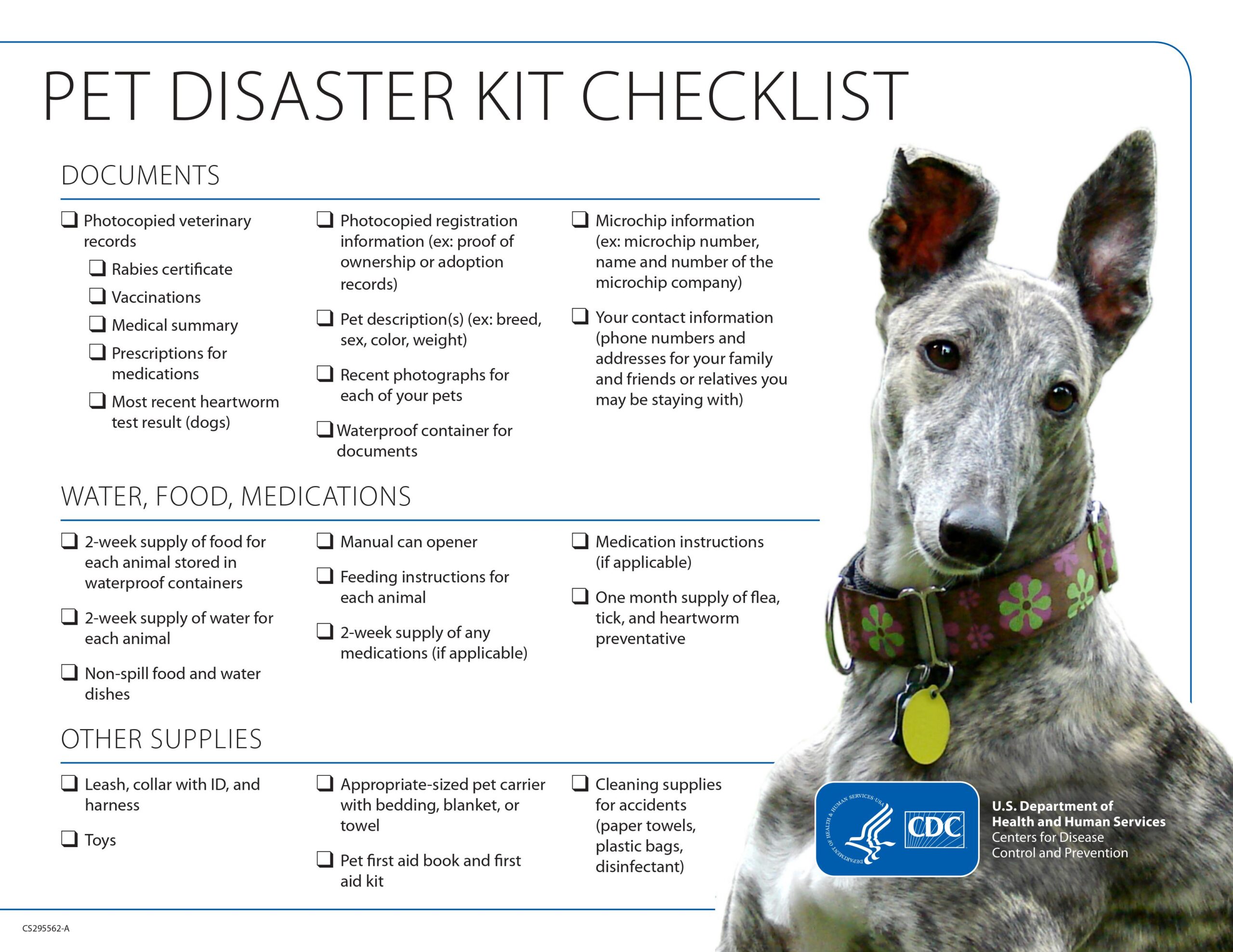 Prepare Your Pets for Disasters